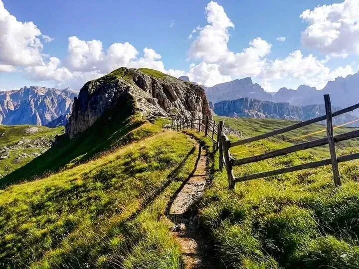 Sentier fleuri dans le Dachstein - Autriche