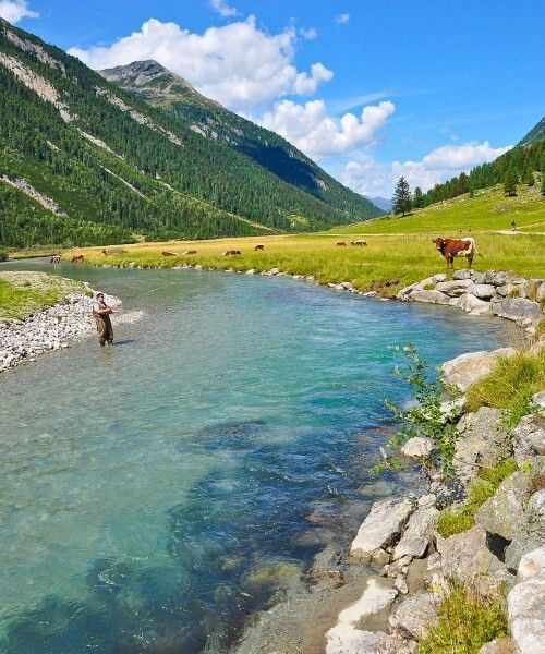 Pêche à la mouche dans le Krimmler Achental - Tyrol - Autriche