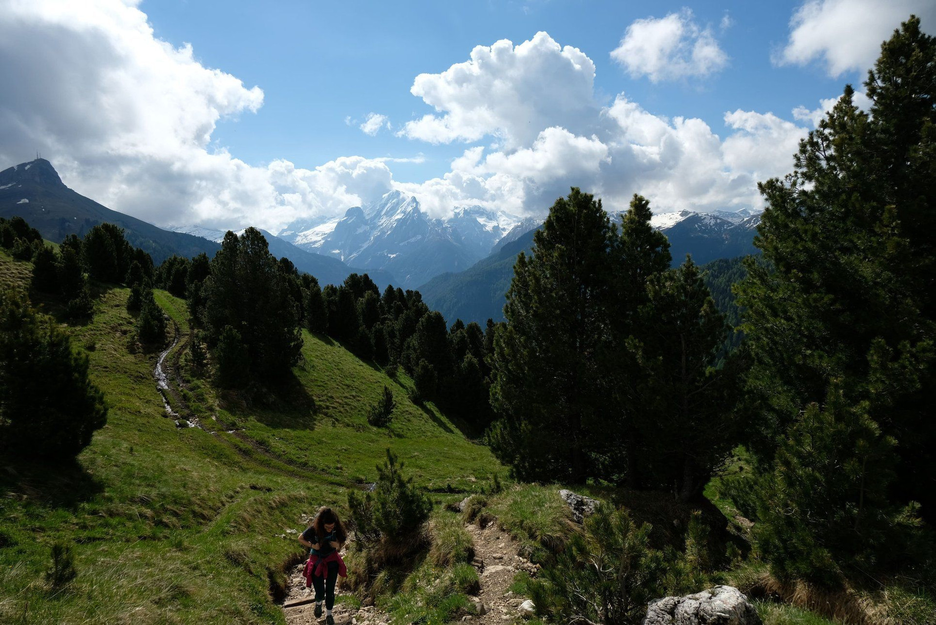 Randonneuse sur un sentier entre les pins - Dolomites - Italie
