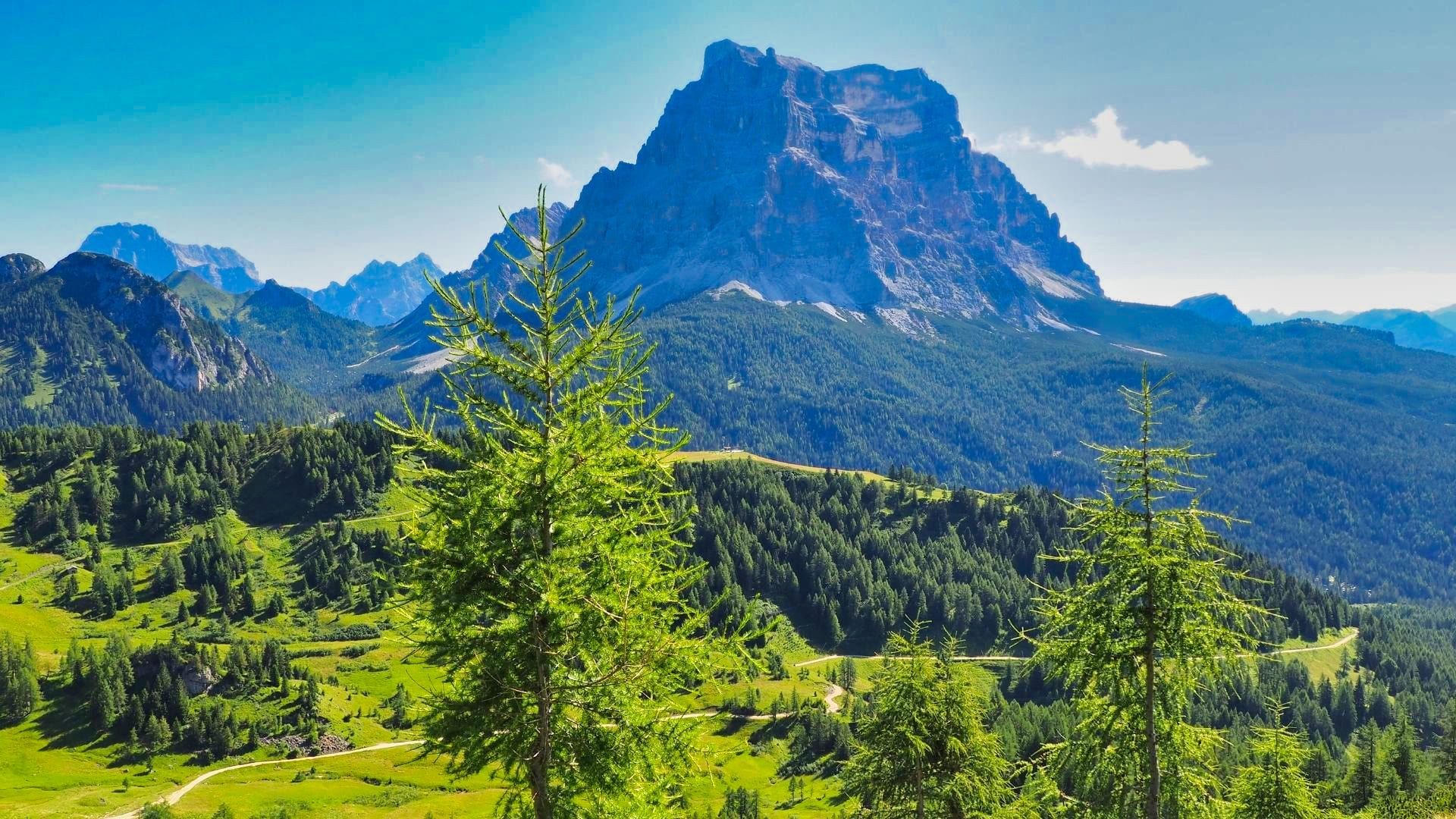 Mont Pelmo et mélèzes verdoyants - Dolomites - Italie © Thomas Praire