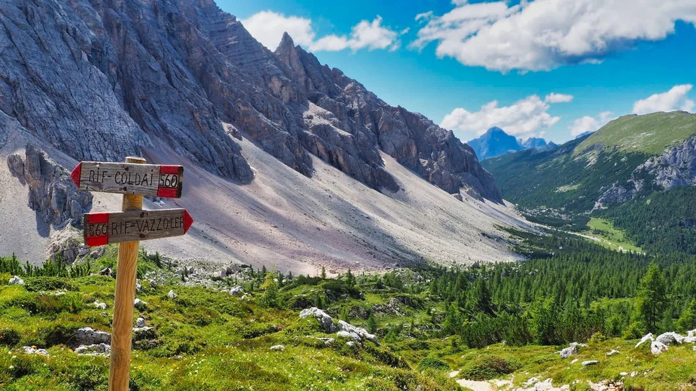 Ce que disent nos trekkeurs